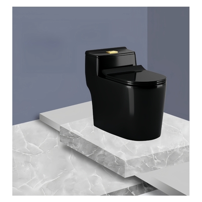 Installazione Piano montato doppio scarico Siphon scarico nero bagno in ceramica