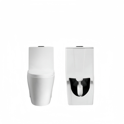 Copertura del sedile lentamente doppio lavaggio lavaggio bagno in ceramica bianca di un pezzo con alta durata