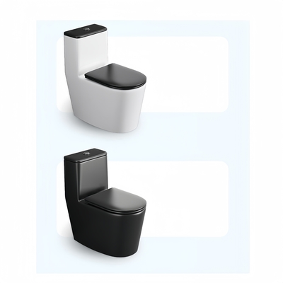 250 mm Ceramica nera opaca a doppio rivestimento a pavimento in piedi vaschetta igienica per bagno standard