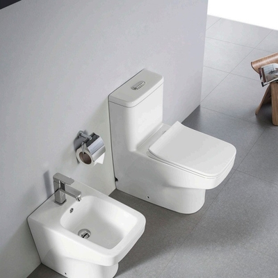 Bagno di lusso cinese in ceramica sifonica a un pezzo colorato con copertura tampone