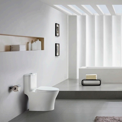 Pubblico Siphonic One-Piece Toilet Bagno Ceramico Sanitario Washdown stile classico