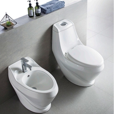 Componente del tubo di scarico automatico a parete appeso al bagno con accessori 730x425x810mm